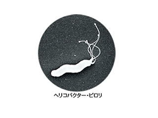 ヘリコバクター・ピロリ